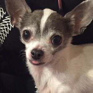 Meet your Posher, Mari